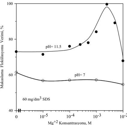 Şekil 4.35. Mg +2  katyon konsantrasyonunun kolemanitin 60 mg/dm 3  SDS ile  makaslama flokülasyonuna etkisi