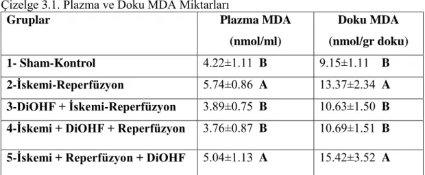 Çizelge 3.1. Plazma ve Doku MDA Miktarları 
