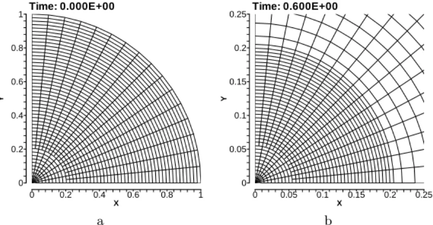 Fig. 10. Grid for Noh Problem. (a) Initial. (b) Final.
