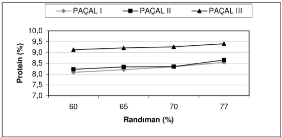 Şekil 4.1. Buğday Paçallarından Elde Edilen Unların Protein Miktarları       Üzerine Etkili “Paçal x Randıman” İnteraksiyonu 