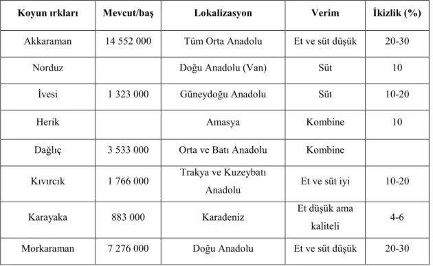 Çizelge 1.2. Türkiyedeki önemli yerli koyun ırkları ve bazı veriler (Uysal, 2013).   