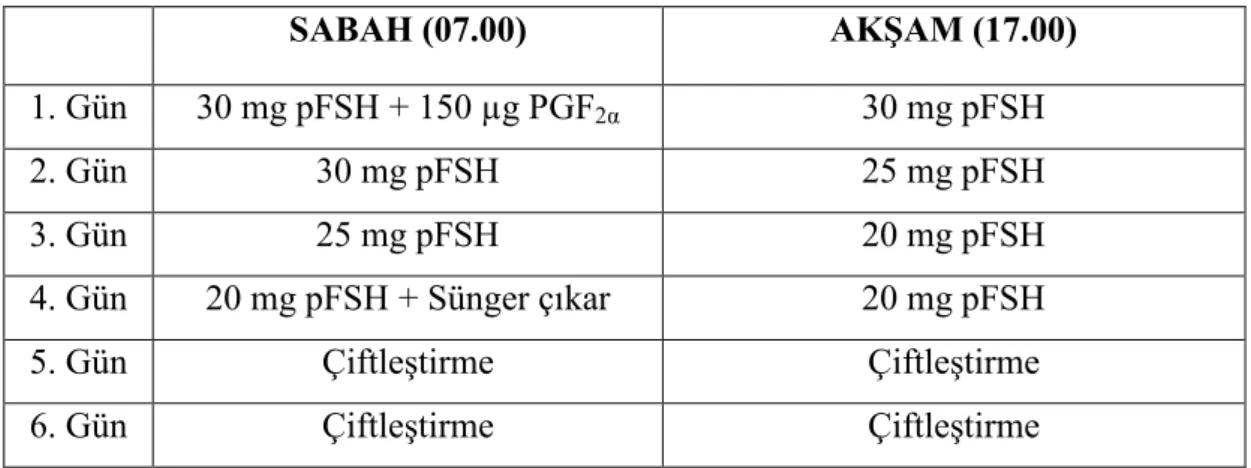 Çizelge 2.3. Süperstimülasyon protokolü. 