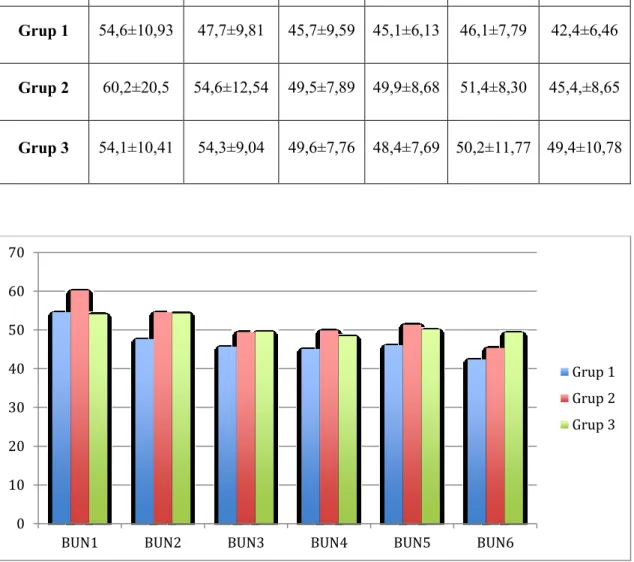 Şekil 3.1. Besleme programının başlatıldığı gün ve diğer günlerde  gruplardaki ortalama kan üre nitrojen değerleri (mg/dl)