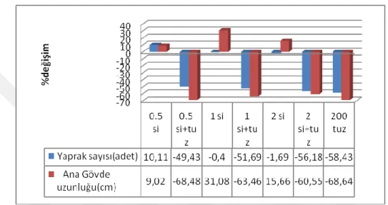 ġekil 4.3 Kavunda tuzlu toprak  koĢullarında Si uygulamalarının kontrole göre yaprak sayısı ve  ana gövde uzunluğunda % değiĢim oranları 