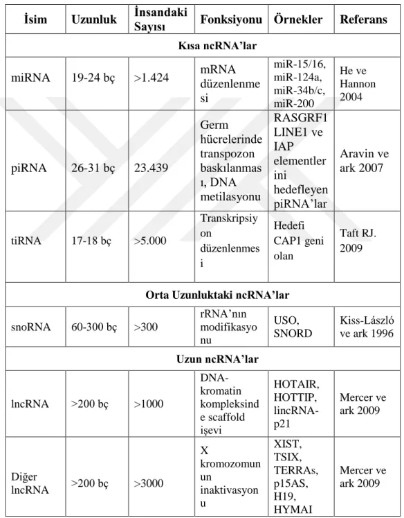 Çizelge 1.1: RNA Tipleri 