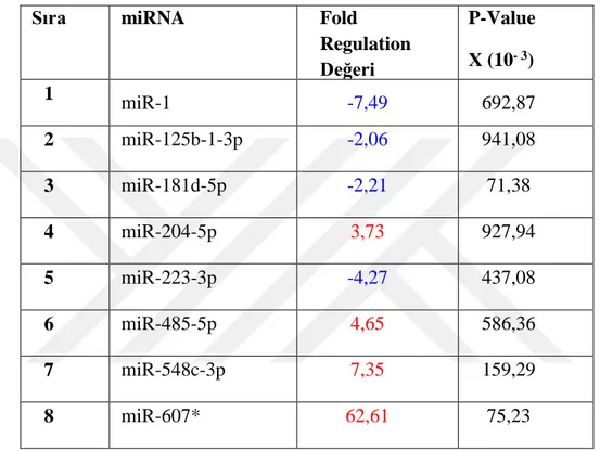 Çizelge 3. 7 Kontrol grubu hücreler ile D vitamin uygulamasını takiben 2.  Saatteki miRNA değişiklikleri