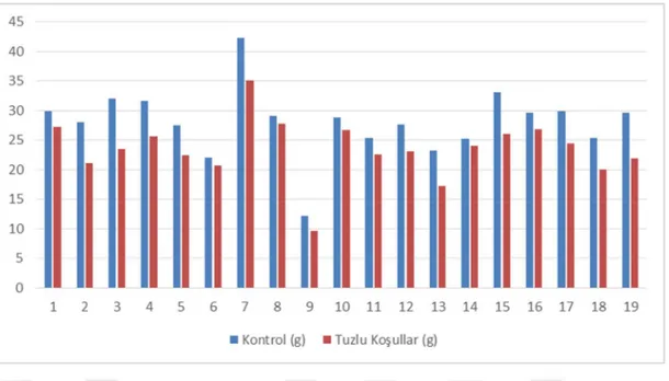 Şekil 4.4 Tuz stresi altında kök yaş ağırlık değerleri (g) ve kontrol bitkileri ile karşılaştırması 
