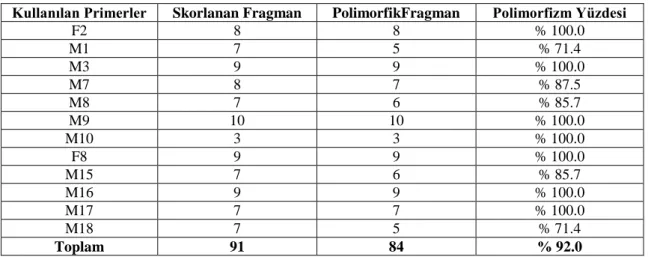 Çizelge 4.1. Bireysel gruplarından elde edilen polimorfizm yüzdesi 