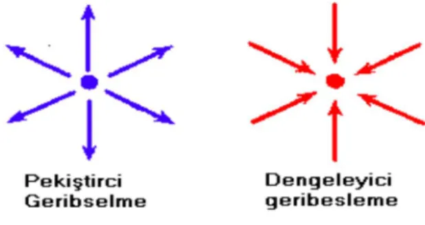 Şekil 8: Geri Besleme Çeşitleri 