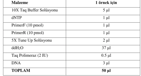 Çizelge  2.7.1.  A.  vaginae,  BVAB1,  BVAB2,  BVAB3,  Eggerthella-benzeri  bakteri,  L