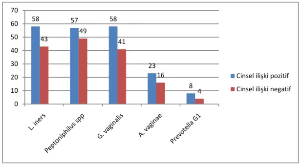 Grafik  3.1.  Cinsel  ilişki  durumuna  göre  L.  iners,  Peptoniphilus  spp.,  G.  vaginalis, A