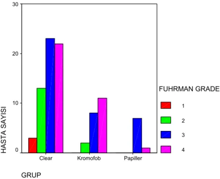 Grafik 4: Fuhrman çekirdek derecelerinin histolojik alt tiplere göre dağılımı 