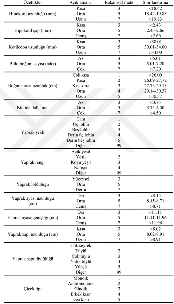 Çizelge 3.5. Genotiplerin tanımlanmasında kullanılan güncelleştirilmiş IPGRI parametrelerin  sınıflandırılması