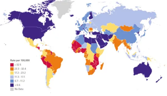 Şekil 1-8 Yaşa göre standartlaştırılmış Uluslararası Serviks Kanseri İnsidans Oranları  2008  
