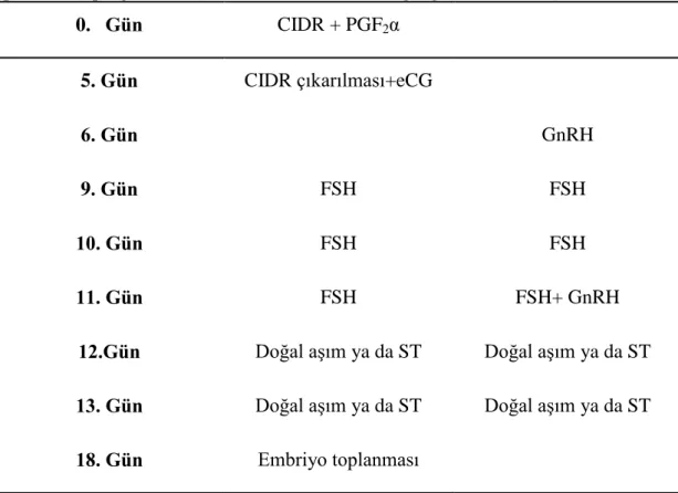 Çizelge  1.3.2.4.  Örnek  süperovulasyon  ve  embriyo  toplama  (0.  gün  protokolü) programı IV (TaĢdemir ve ark 2011, Ağaoğlu ve ark 2014)