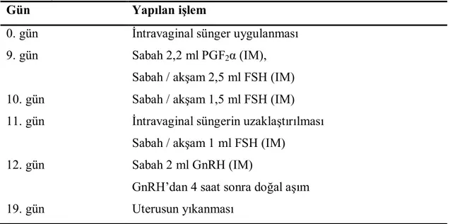 Çizelge  2.2.3.1.  Keçilere  uygulanan  süperovulasyon  protokolü  (Ağaoğlu  ve  ark 2014)