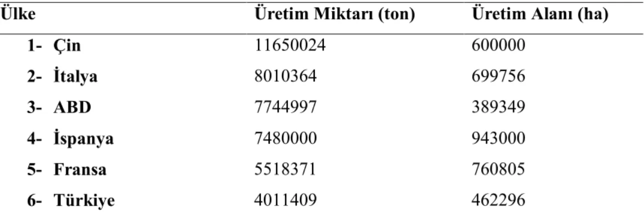 Çizelge 1.1. Dünya bağcılığında önde gelen ülkelerin üzüm üretim miktarları 