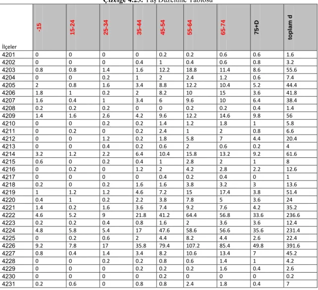 Çizelge 4.23. Yaş Düzeltme Tablosu 
