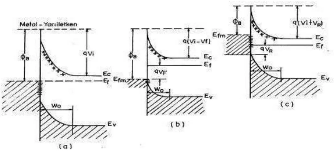 Şekil  2.4.a’da  termal  denge  durumunda  doğrultucu  kontağın  enerji  band  diyagramı  görülmektedir