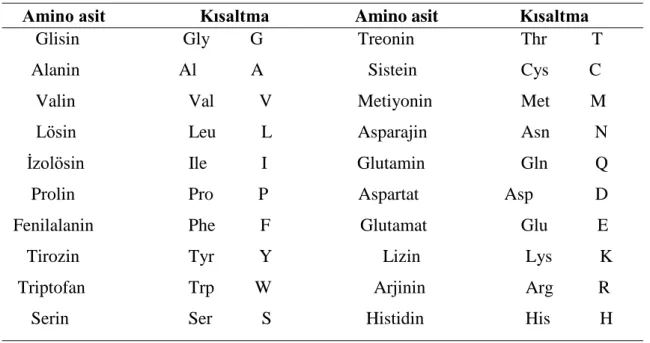 Tablo 1.4. Amino asitler ve kısaltmaları 