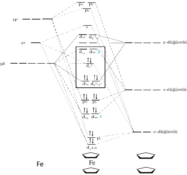 Şekil 1.14. Ferrosenin molekül orbital enerji düzeyleri 