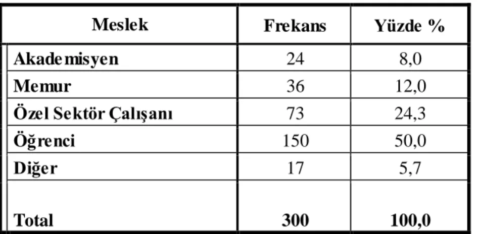 Tablo 12. Meslek Dağılımı 