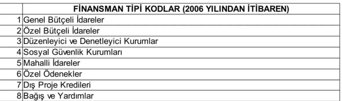 Tablo 3.12. 2006 Yılında İtibaren Oluşan Finansman Tipi Kodlar 