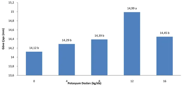 Şekil 4.2. Artan potasyum dozlarının domateste gövde çapına etkileri 