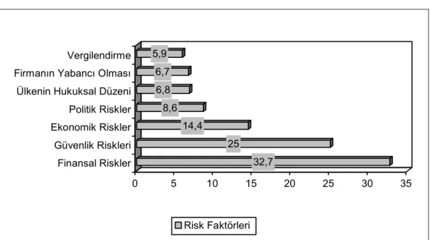 Şekil 1.2. Dış Ülke Risk Faktörlerinin Ağırlık Yüzdeleri 