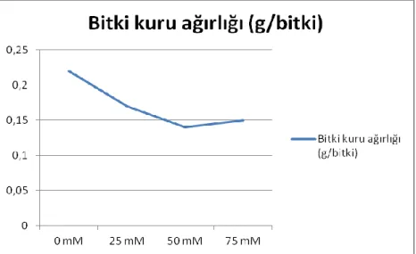 ġekil 4.5. Farklı tuz uygulamalarında yetiĢtirilen arpa genotiplerinin 10. hafta sonundaki bitki kuru ağırlık  ortalaması 