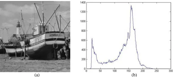 Şekil 5.6. Kullanılan test imgeleri (a) Boats, (b) Boats imgesine ait histogram 