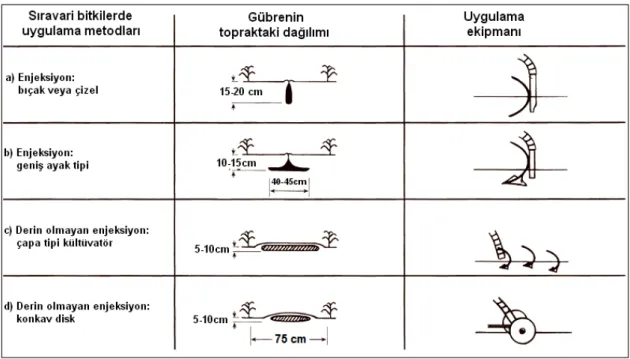 Çizelge 2.1. Farklı enjeksiyon teknikleri ve toprakta oluşan gübre kesitleri 