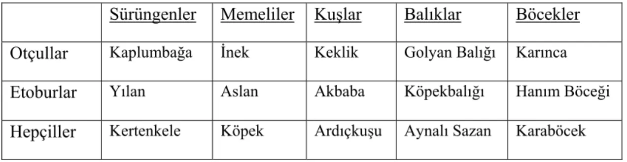 Tablo 10: Çapraz Sınıflama Çizelgesi Örneği 