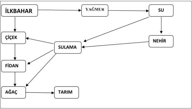 Şekil 1: Örnek Anlamsal Ağ Şeması 