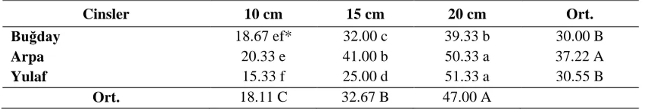Çizelge 4.6. Araştırmada kullanılan cinslerin yeşil aksam ağırlığı (g/0.1 m 2 ) 