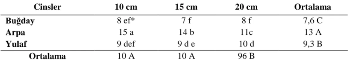 Çizelge 4. 16. Araştırmada kullanılan cinslerin çim sularının sodyum (Na) içerikleri (mg/100g) ve LSD  grupları  Cinsler  10 cm  15 cm  20 cm  Ortalama  Buğday  8 ef*  7 f  8 f  7,6 C  Arpa  15 a  14 b  11c  13 A  Yulaf  9 def  9 d e  10 d  9,3 B  Ortalama