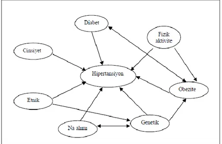 Şekil 1.2. Hipertansiyonda etkili faktörler  