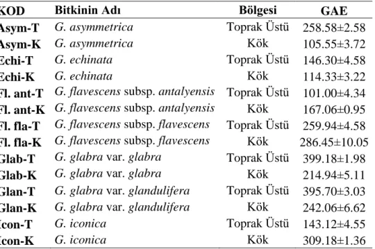 Çizelge 4.2. Glycyrrhiza taksonlarının gallik aside eş değer (mg/g) toplam fenolik madde içeriği 