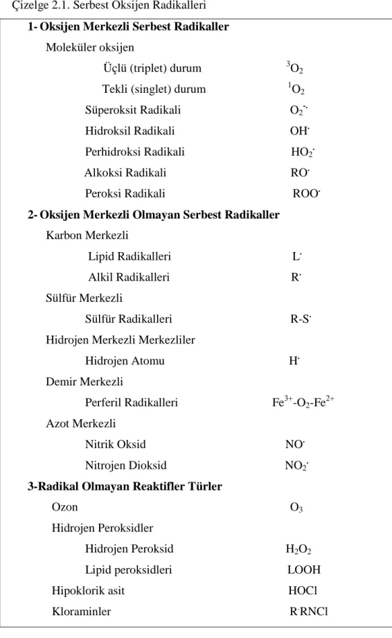 Çizelge 2.1. Serbest Oksijen Radikalleri  1-  Oksijen Merkezli Serbest Radikaller  