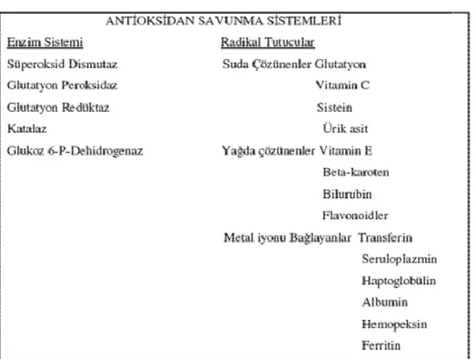 Çizelge 2.3. Antioksidan savunma sistemleri 