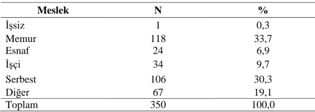 Tablo 3.6’da görüldüğü üzere, çocukların babalarının %0,3’nün işsiz, %33,7’sinin  memur, %6,9’unun esnaf, %9,7’sinin işçi, %30,3’ünün serbest, %19,1’inin diğer meslek  grubundandır