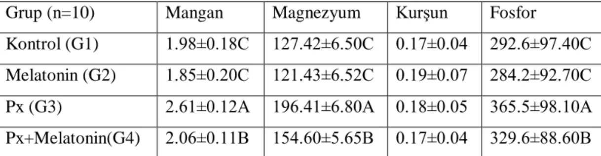 Çizelge 15. Çalışma Gruplarının karaciğer dokusunda mangan, magnezyum, kurşun  ve fosfor seviyeleri (mg/L)
