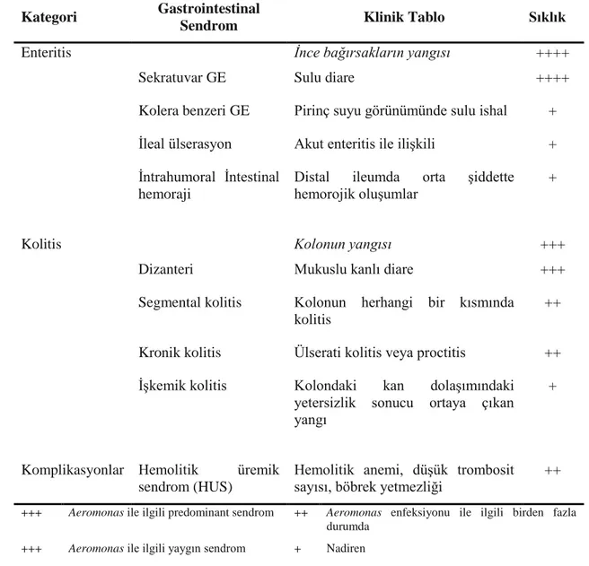 Çizelge  1.6.  Aeromonas  enfeksiyonları  ile  iliĢkili  gastrointestinal  sendromlar  ve  komplikasyonlar (Janda ve Abbott 2010)