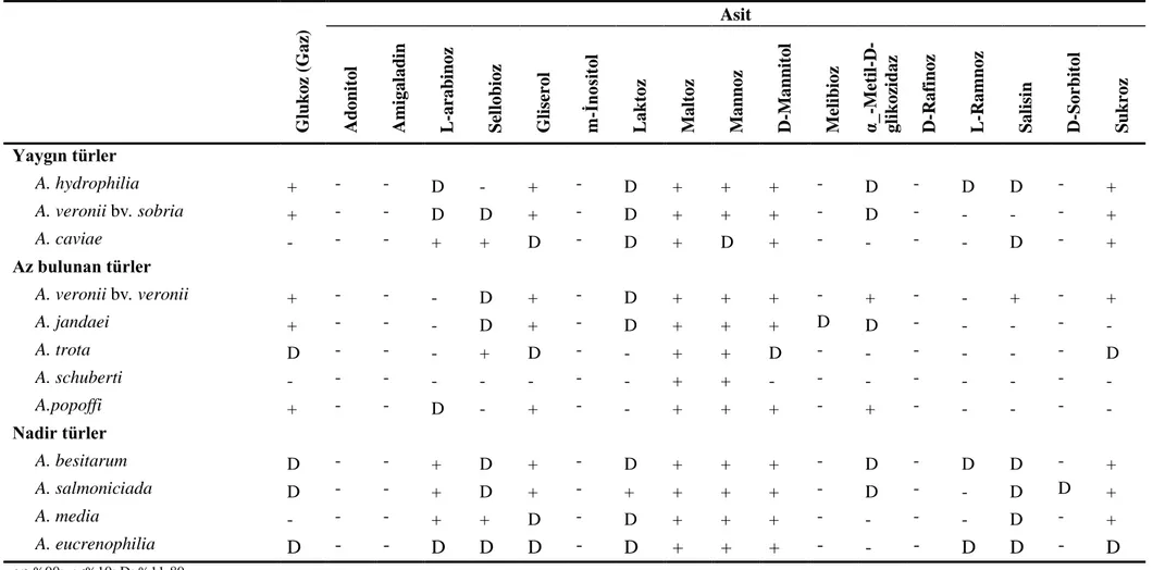 Çizelge 1. Aeromonas türlerini birbirinden ayırt etmek için kullanılan biyokimyasal testler 