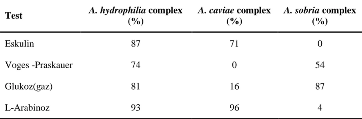 Çizelge  1.12.  Kompleks düzeyinde  Aeromonas  türlerinin  biyokimyasal  identifikasyonu  (Abbott ve ark 2003) 