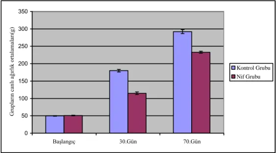 Grafik 3.1. ÇalıĢma boyunca grupların ortalama canlı ağırlıklarında oluĢan değiĢiklikler
