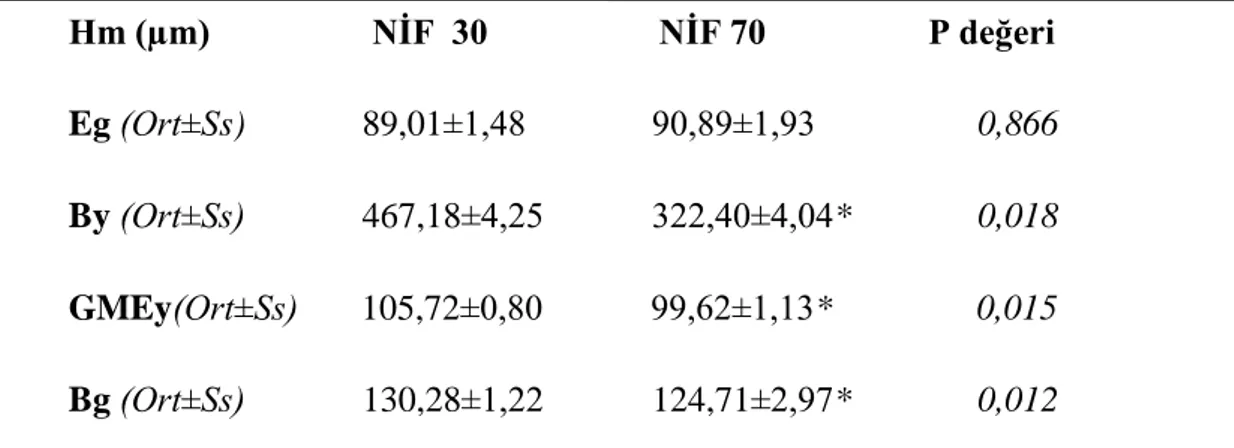 Çizelge  3.6.  NĠF  grubunun,  çalıĢmanın  30.  ve  70.  günlerinde  elde  edilen  histomorfometrik  sonuçlarının karĢılaĢtırması