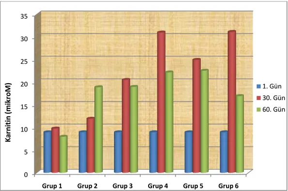 Grafik 3.2. Gruplarda günlere göre plazma trigliserit değiĢimleri. 