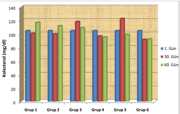 Grafik 3.4.Gruplarda günleregöre plazma LPO değiĢimleri. 