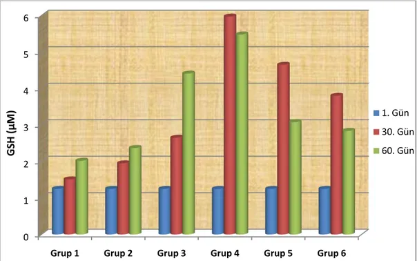 Grafik 3.6. Gruplarda günleregöre plazma CAT değiĢimleri. 